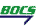BOCS